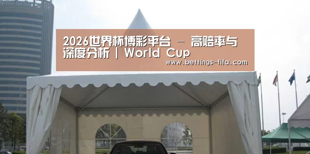 案例标题八