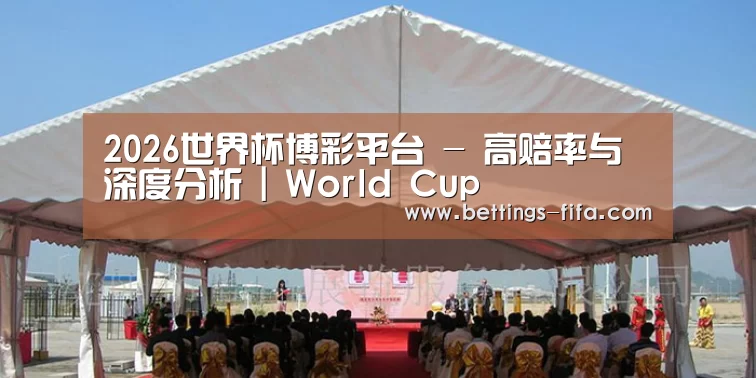 案例标题三