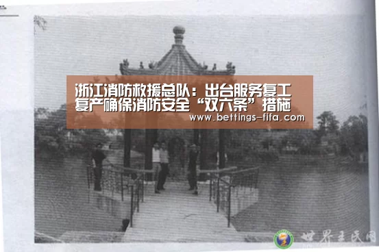浙江消防救援总队：出台服务复工复产确保消防安全“双六条”措施“世界杯投注”