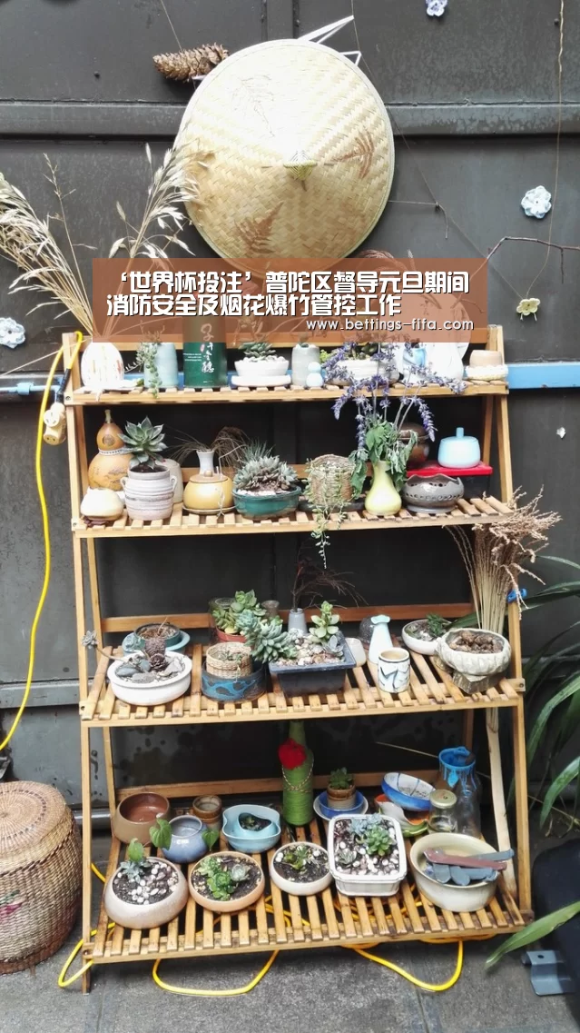 世界杯投注