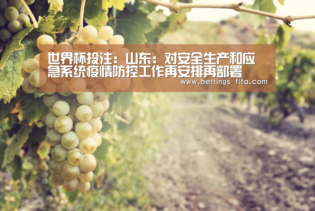 世界杯投注:山东:对安全生产和应急系统疫情防控工作再安排再部署