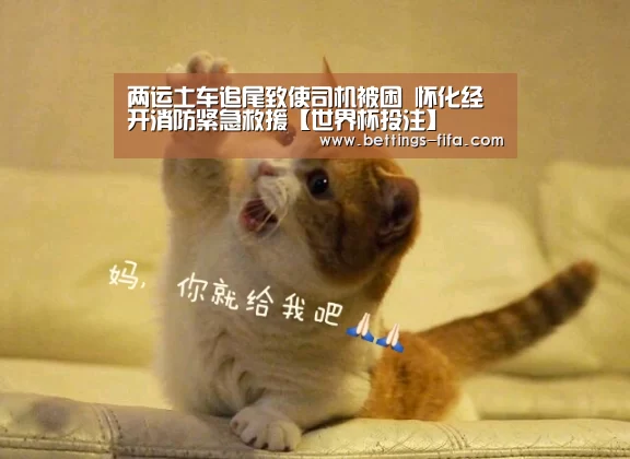 世界杯投注