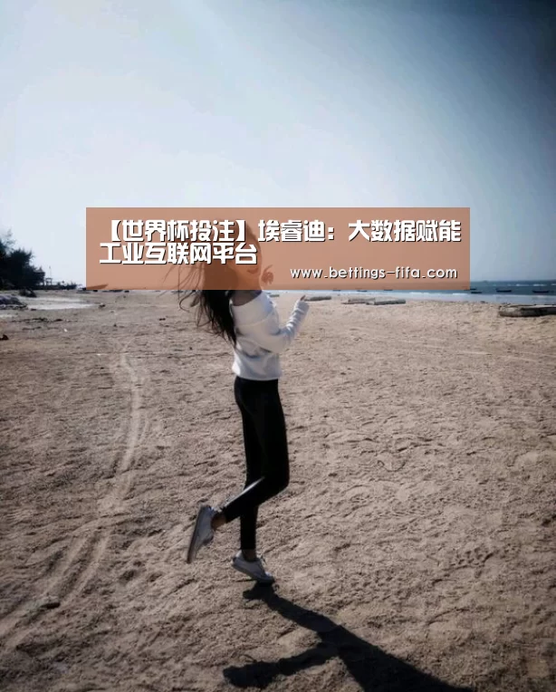 【世界杯投注】埃睿迪：大数据赋能工业互联网平台