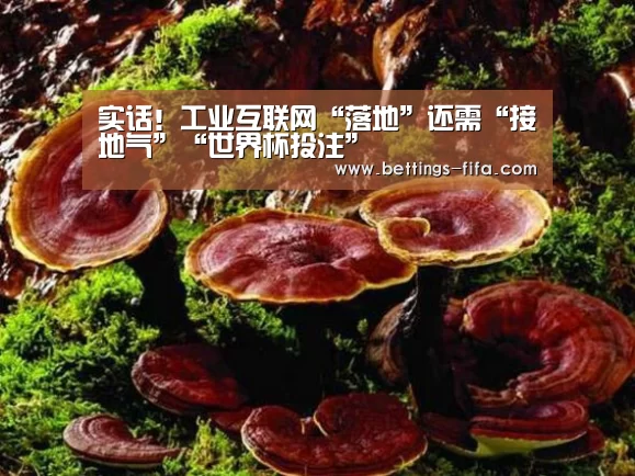实话！工业互联网“落地”还需“接地气”“世界杯投注”