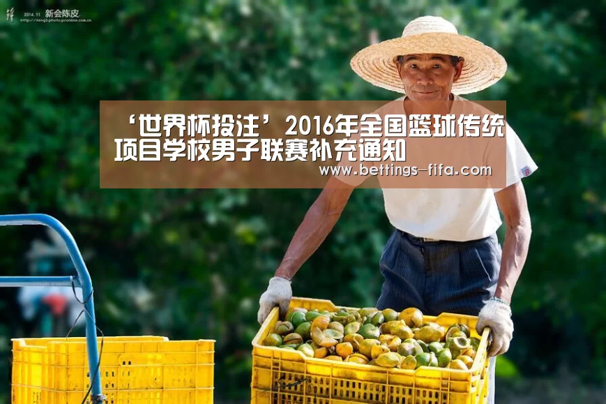 ‘世界杯投注’2016年全国篮球传统项目学校男子联赛补充通知