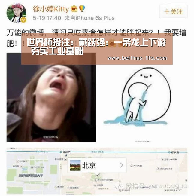 世界杯投注：戴跃强：一条龙上下游 夯实工业基础