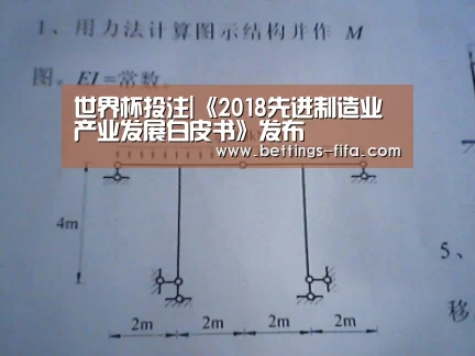 世界杯投注|《2018先进制造业产业发展白皮书》发布