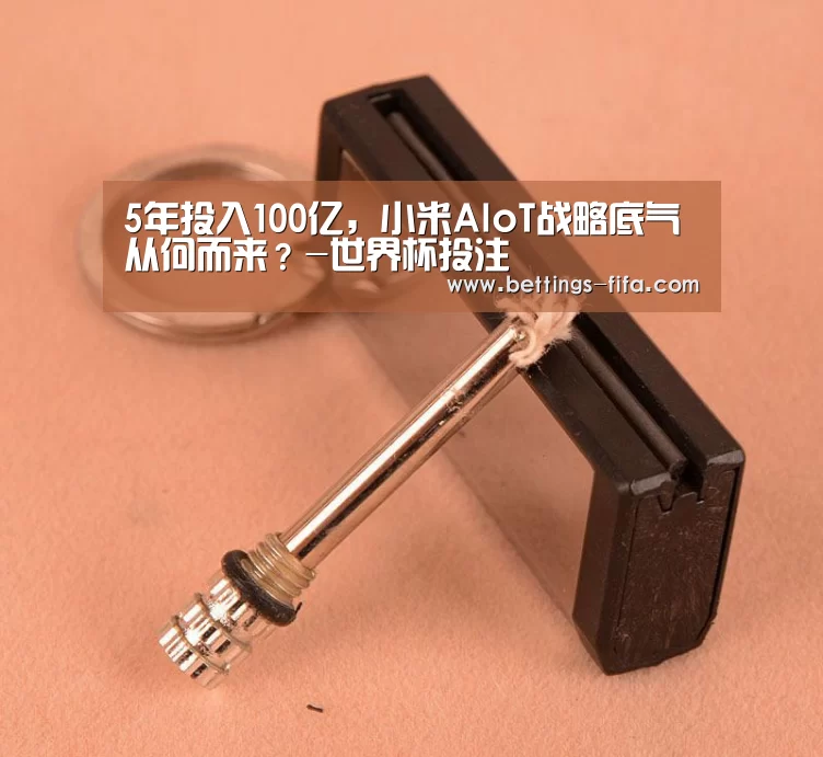 5年投入100亿，小米AIoT战略底气从何而来？-世界杯投注