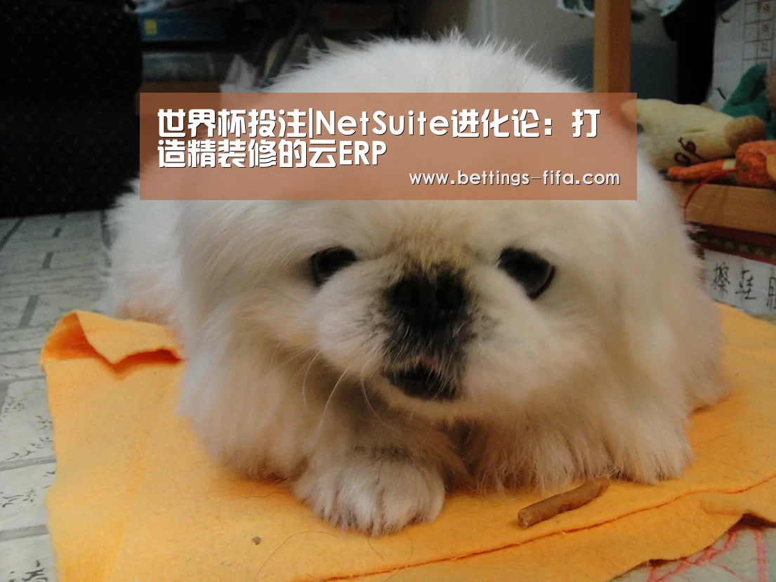 世界杯投注|NetSuite进化论：打造精装修的云ERP