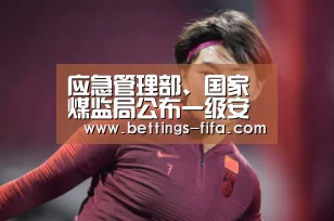 应急管理部、国家煤监局公布一级安全生产标准化煤矿名单_世界杯投注