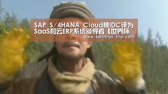 SAP S/4HANA Cloud被IDC评为SaaS和云ERP系统领导者【世界杯投注】