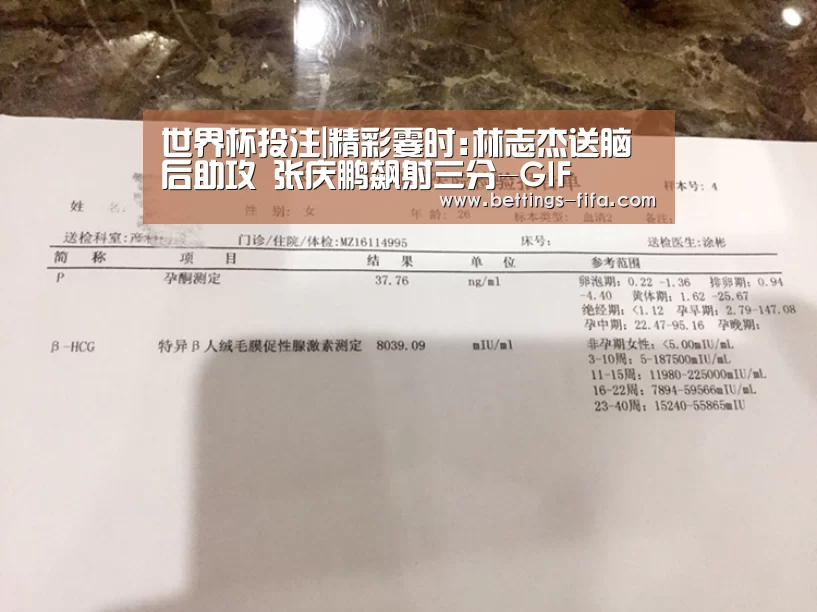 世界杯投注