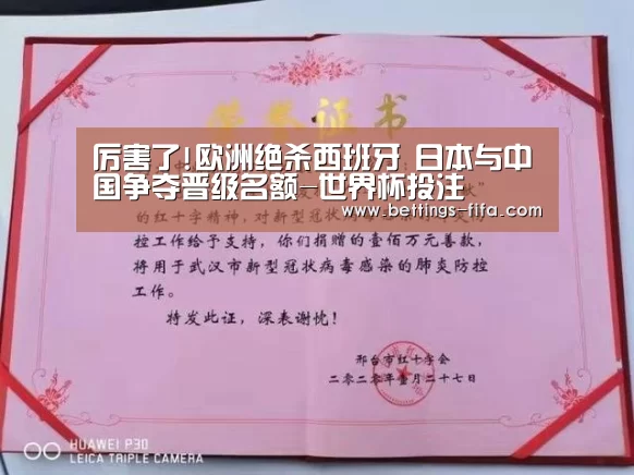 世界杯投注